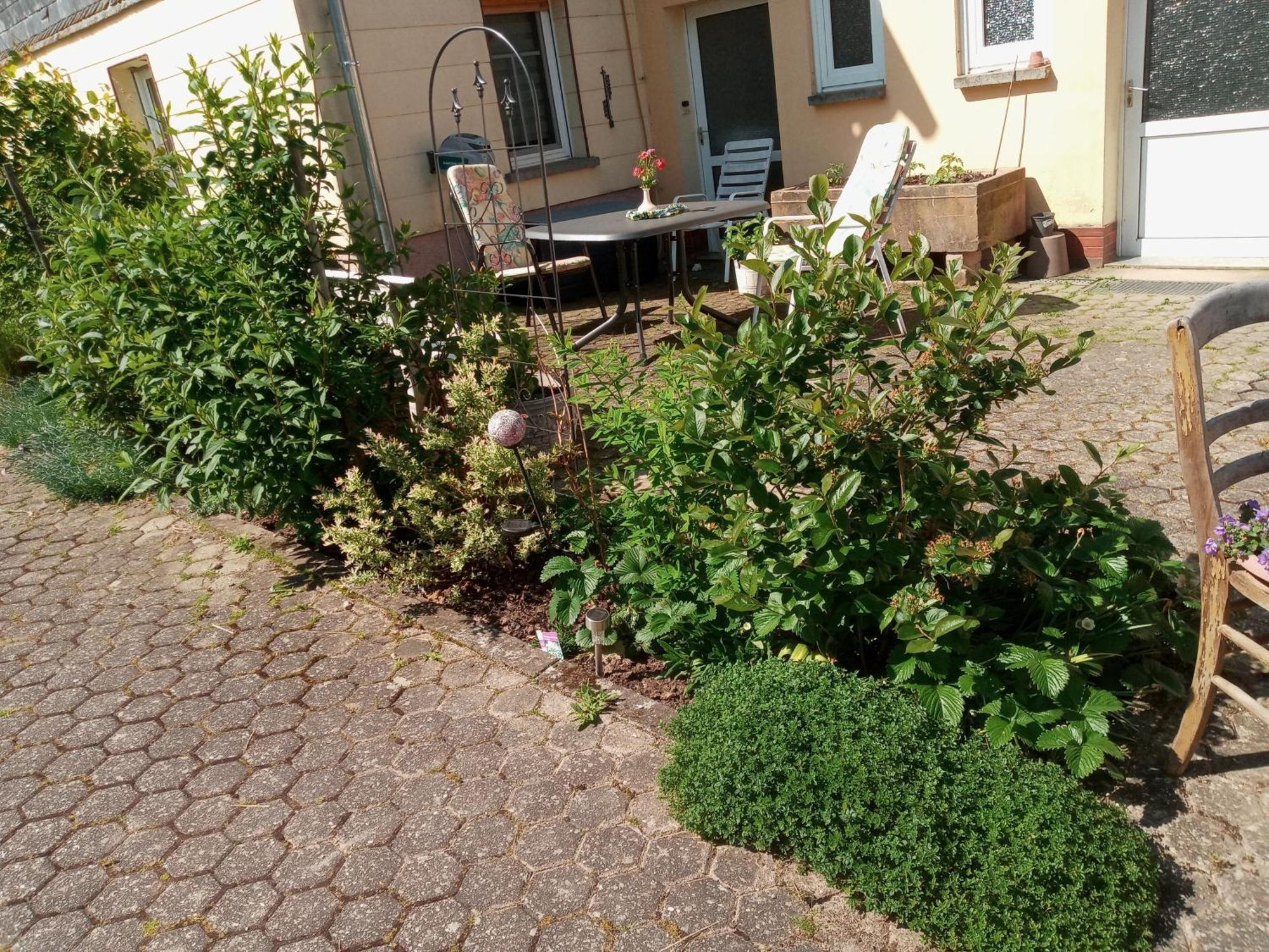 Ferienwohnung Otto Kleinich Bagian luar foto